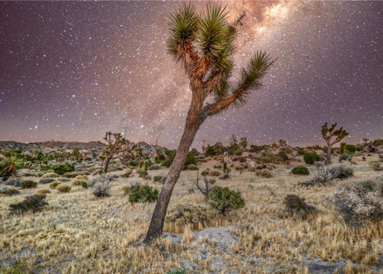 Twin Palms Desert Getaway - Jacuzzi, Fire Pit, Meditation Room & More Joshua Tree Dış mekan fotoğraf